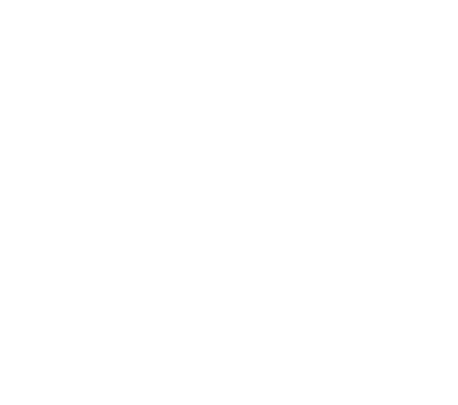 LES ANIMES LOGO BLANC 2