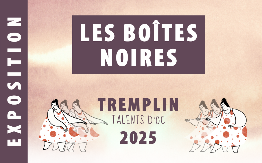 Les boîtes noires